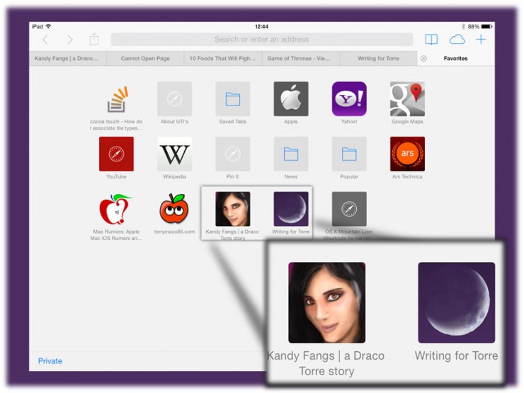 "screen shot of iPad favorites icons"