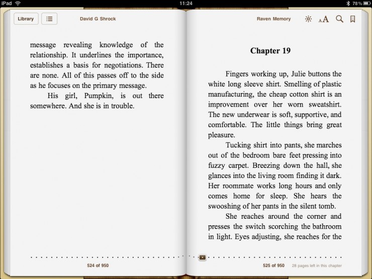 "screenshot of iBooks showing chapter break"