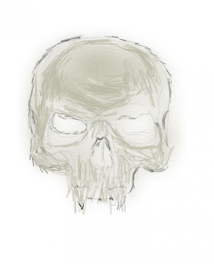 "drawing a skull step 1"